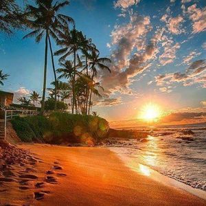 Meet your Posher, Freddy